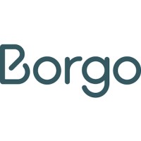 Borgo logo - Similar company to Vilja Solutions