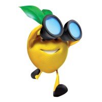 Lemon-trip.com logo - Similar company to Webactly