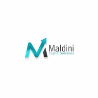 Maldini Capital And Solutions logo - Similar company to Metrokart