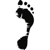 Footprint Investments logo - Similar company to Vappex