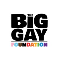 The Big Gay Foundation logo - Similar company to Bechdel Project