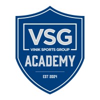 VSG Academy logo - Similar company to Dashform Solutions