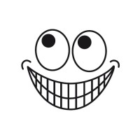 TheCrazySmile logo - Similar company to Circuleather