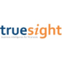 Truesight logo - Similar company to Ak Consultants