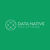 Data Native Solutions logo - Similar company to Data Natives