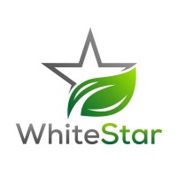 WhiteStar Property Services Ltd. logo - Similar company to Mindlab Collective
