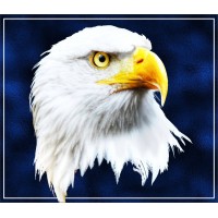 Eagle Outdoor Sign Co., Inc. logo - Similar company to Creative Sign Resources