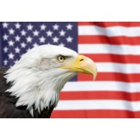 Eagle Business Advisors