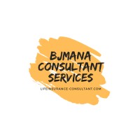 bjmana consultant services logo - Similar company to Smbsure