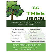 SG Tree Services logo - Similar company to Wakeley Tree Surgeons Ltd