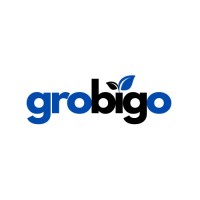 Grobigo.com logo - Similar company to Molten Rock Technology Pvt.Ltd.