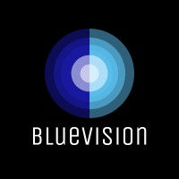 Blue Vision logo - Similar company to Blue Vision