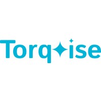 Torqoise Technologies Private Limited logo - Similar company to Piros