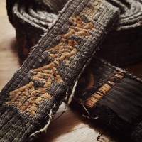 Ashihara Karate in Singapore (by Lionheart Academy) logo - Similar company to Singapore Silat Federation