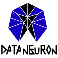 Data Neuron logo - Similar company to Dataneuron