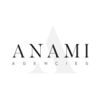 Anami Agencies logo - Similar company to Lagentium Insurance Brokers