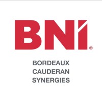 BNI Caudéran Synergie logo - Similar company to Bni Mérignac Performance