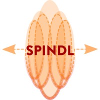 SPINDL-CIC logo - Similar company to Shared Lives South West
