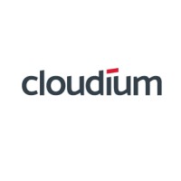 Cloudium Software logo - Similar company to Orestes Technologies Pvt. Ltd.