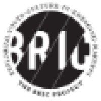 The Bric Project