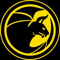 Valencia Firebats logo - Similar company to Vibato