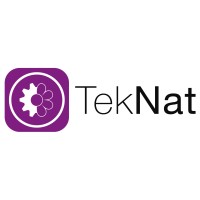 Sektionen TekNat logo - Similar company to Femtek