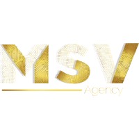AGENCE MSV logo - Similar company to Agence Msv | Marketing Digital & Seo Agréé Google – Tpe/Pme