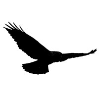 Hawk Educational Solutions Inc logo - Similar company to Human Data Intelligence