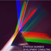 Strategic Business Development Consulting logo - Similar company to Architech Srl