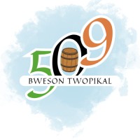 509 BWESON TWOPIKAL logo - Similar company to Jean Technology & Consulting