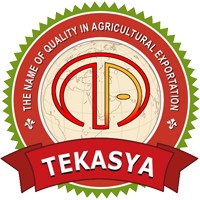 TEKASYA TARIM A.Ş. logo - Similar company to Starkiss