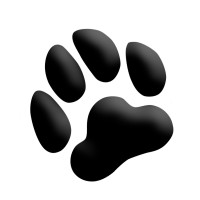 BlackPawPhoto - Commercial Photography, Video, & Web Design logo - Similar company to Osprey Perspectives