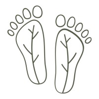 Sustainability Steps logo - Similar company to Thundergraph