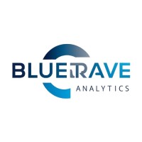 Bluerave Analytics logo - Similar company to Amugold Group