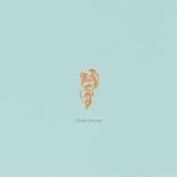 Studio Nascent logo - Similar company to Studio Stelma