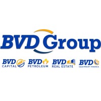 BVD Group logo - Similar company to Hub Ltd. Development Group