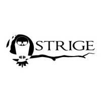 Strige Studios logo - Similar company to Willow Production