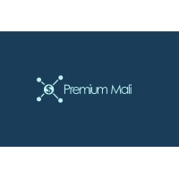 PREMIUM MALI TECHNOLOGY GROUP logo - Similar company to Itc - Instituto  De Transportes E Comunicações