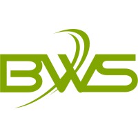 BWS Digital Marketing logo - Similar company to Dunhill Systems