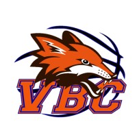 VBC Voreppe Basket Club logo - Similar company to Electrofy
