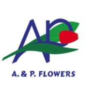 A & P Flowers B.V. logo - Similar company to Karo Bv