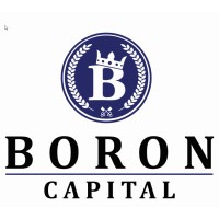 Boron Capital logo - Similar company to Boron Valuation Group