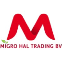 Migrohal Trading logo - Similar company to Slewmaster Inc.