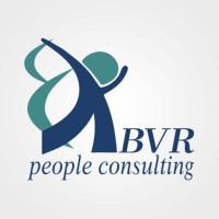 BVR People Consulting logo - Similar company to Enterprise It Solutions