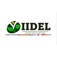 IIDEL logo - Similar company to Startrans S.A.