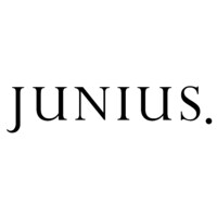 JUNIUS logo - Similar company to Profix