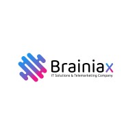 Brainiax IT Solutions logo - Similar company to Loadstop