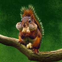 Motovun Film Festival (Cinehill) logo - Similar company to Pleme Studios