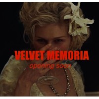 VELVET MEMORIA logo - Similar company to Marie Eve