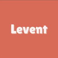 Levent logo - Similar company to Ageworth